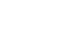 3ds-max